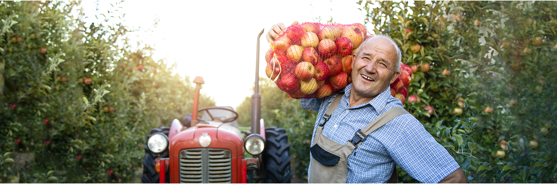 Senhor feliz com seu agronegócio