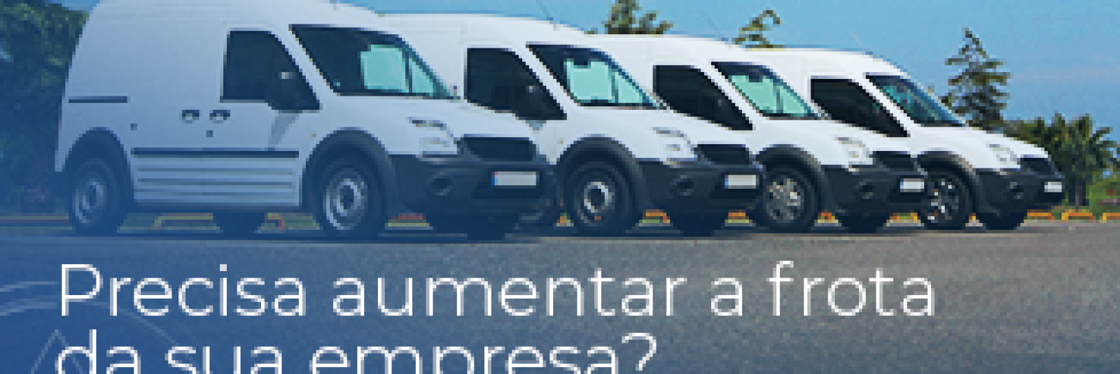 Frota de carros