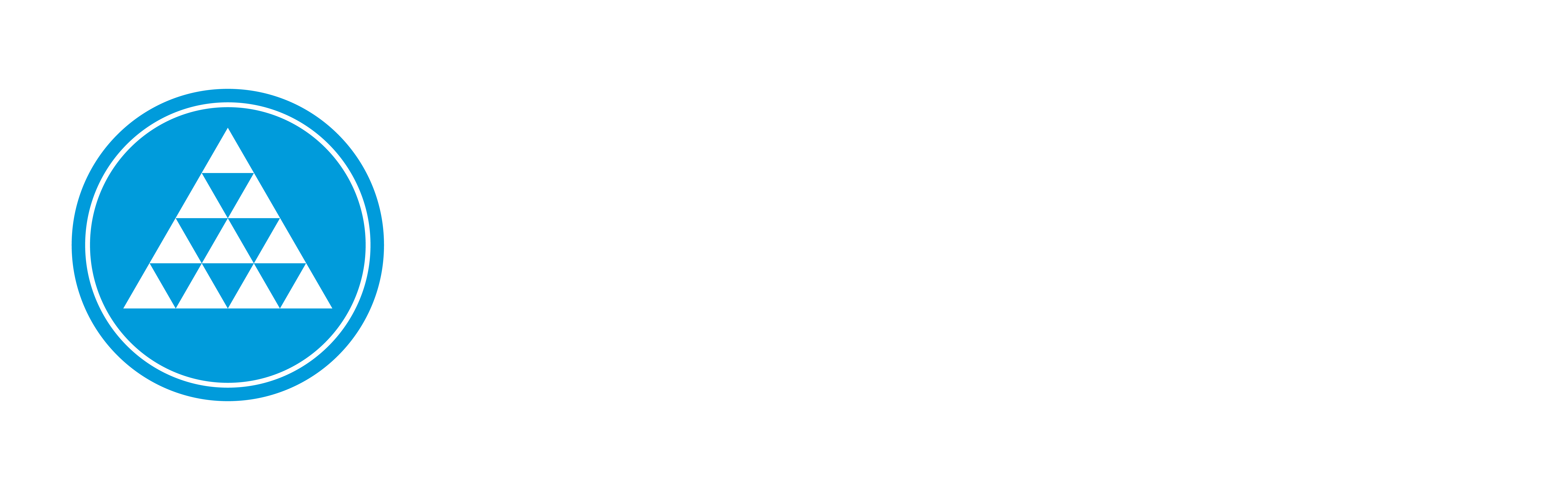 Logo Porto Vale - Variações-03