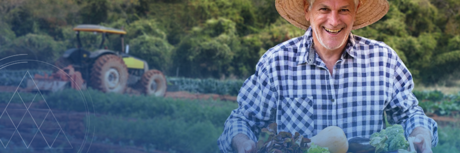 Já conhece todos os benefícios do consórcio agro para produtores rurais? Veja aqui como a modalidade pode alavancar sua produção.